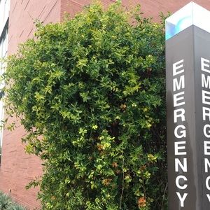 Meet your Posher, Jorge